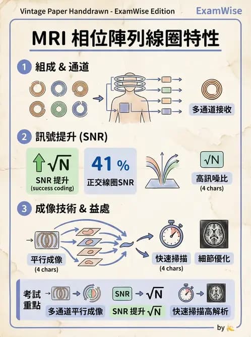 放射 - 射頻系統與線圈 - AI 圖文解析預覽