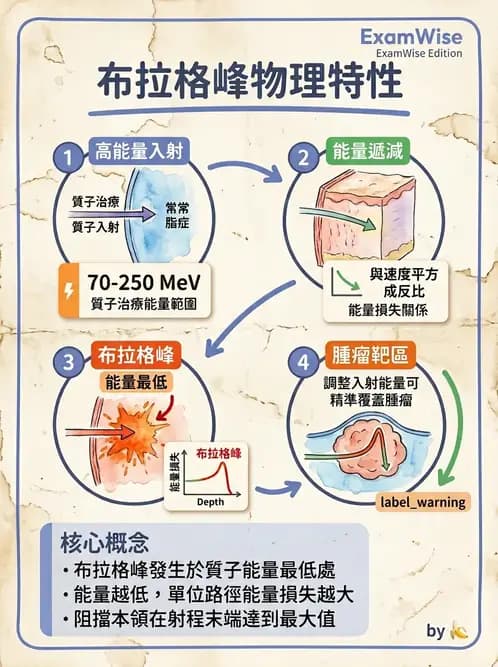 放射 - 質子及中子治療機 - AI 圖文解析預覽
