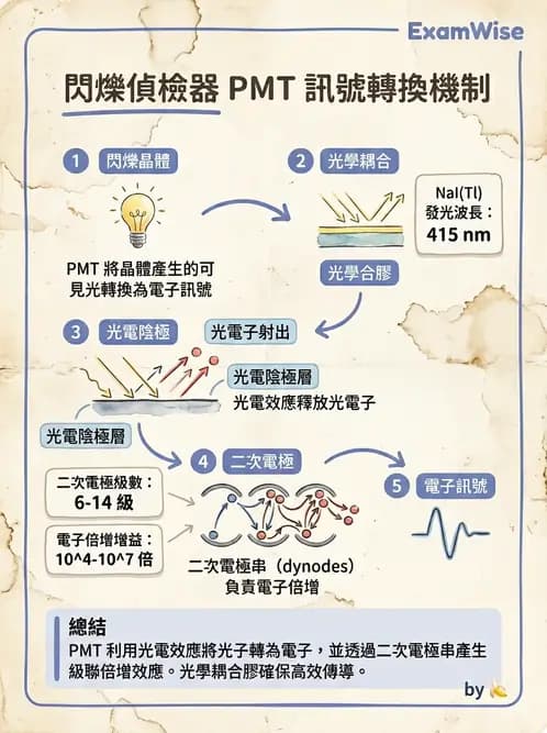 平面影像 - 影像儀器設備 - AI 圖文解析預覽