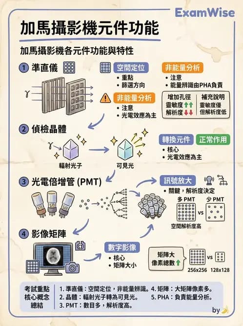平面影像 - 影像儀器設備 - AI 圖文解析預覽
