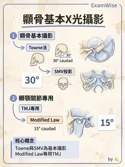 放射 - 頭頸脊椎攝影技術 - AI 圖文解析預覽