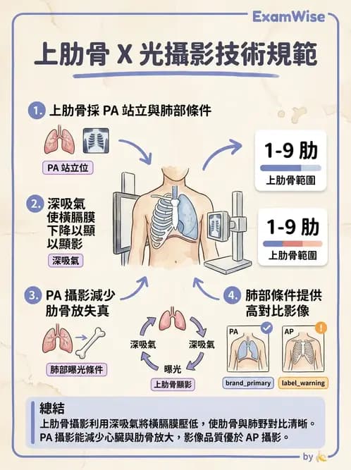 放射 - 軀幹四肢攝影技術 - AI 圖文解析預覽