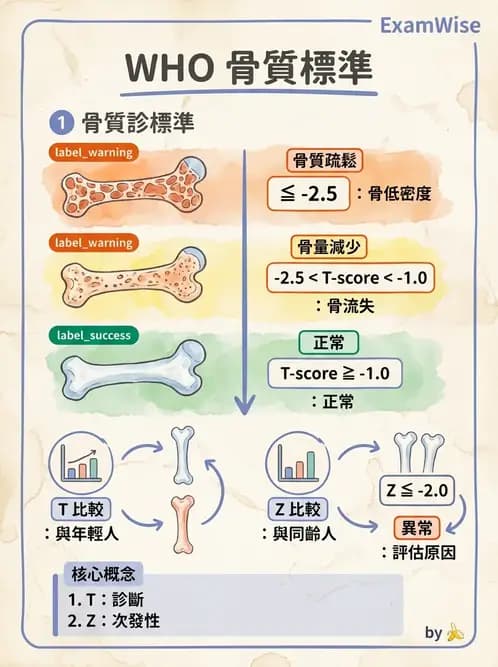 放射 - 乳房攝影與其他特殊檢查 - AI 圖文解析預覽
