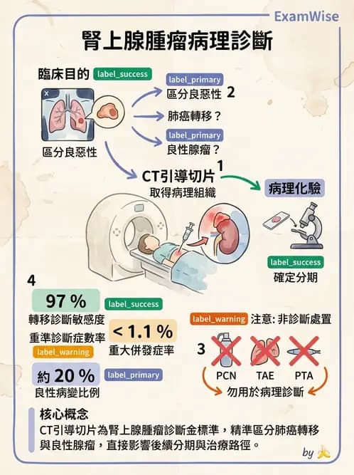放射 - 導管技術與介入性治療 - AI 圖文解析預覽