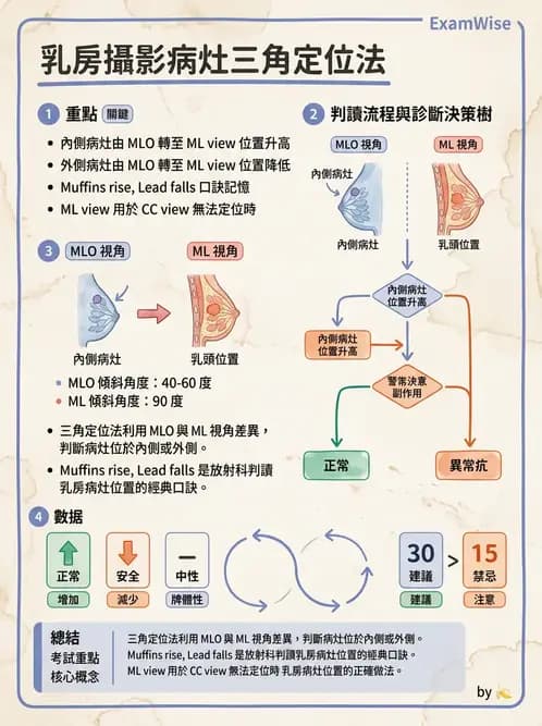 放射 - 乳房攝影與其他特殊檢查 - AI 圖文解析預覽