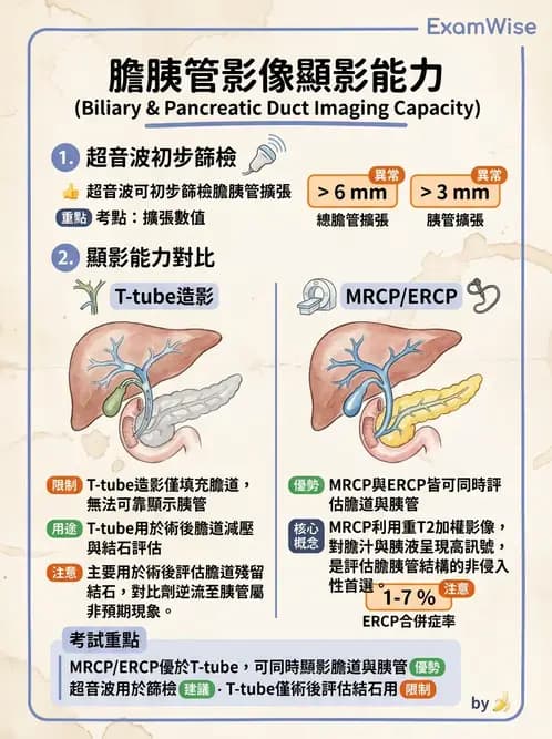 放射 - 消化道造影 - AI 圖文解析預覽