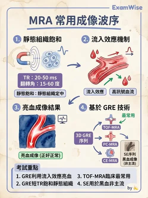 放射 - MRI脈衝序列與訊號技術 - AI 圖文解析預覽