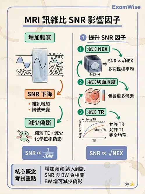 放射 - 磁振影像品質與參數 - AI 圖文解析預覽