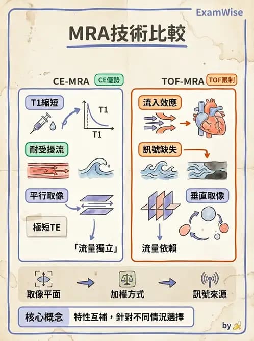 放射 - MR進階影像與臨床應用 - AI 圖文解析預覽