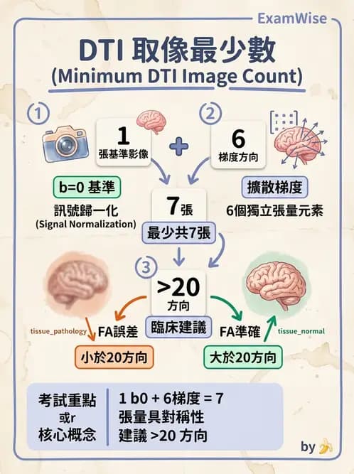 放射 - MR進階影像與臨床應用 - AI 圖文解析預覽