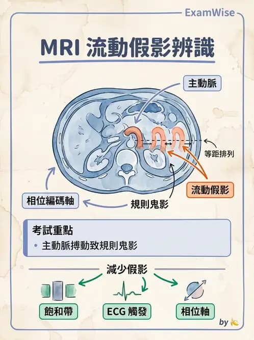 放射 - MR進階影像與臨床應用 - AI 圖文解析預覽