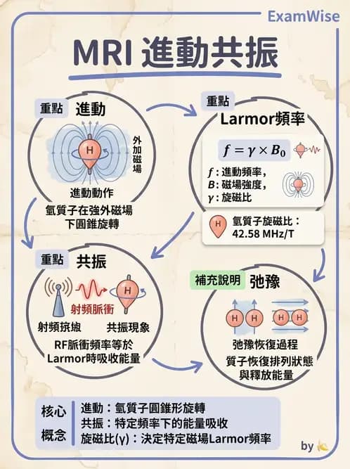 放射 - 磁振造影原理 - AI 圖文解析預覽