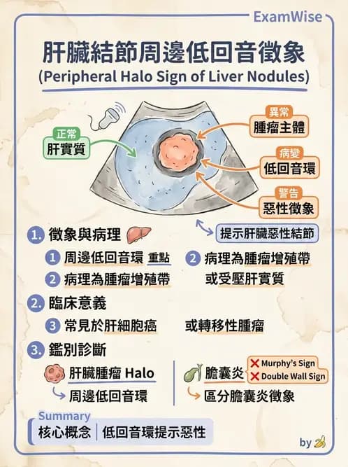 放射 - 肝臟超音波 - AI 圖文解析預覽