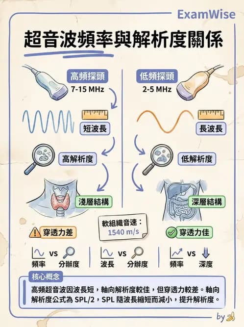 放射 - 超音波物理與技術 - AI 圖文解析預覽
