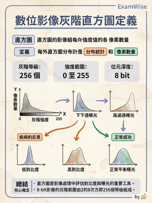 放射 - 數位影像原理與處理技術 - AI 圖文解析預覽
