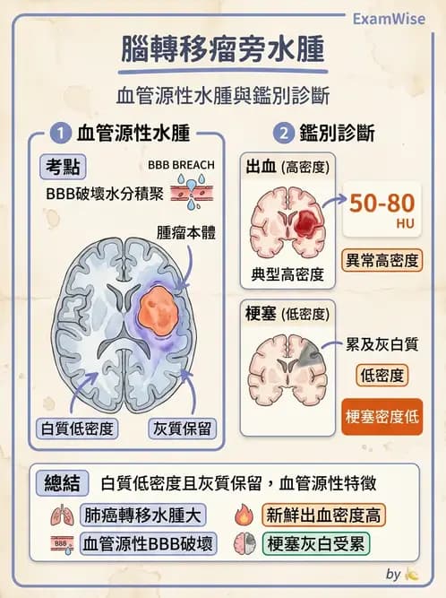 放射 - 頭頸部CT診斷 - AI 圖文解析預覽