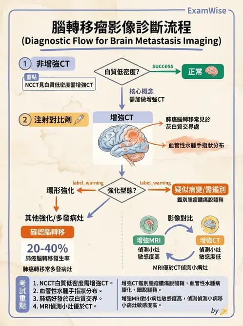 放射 - 頭頸部CT診斷 - AI 圖文解析預覽
