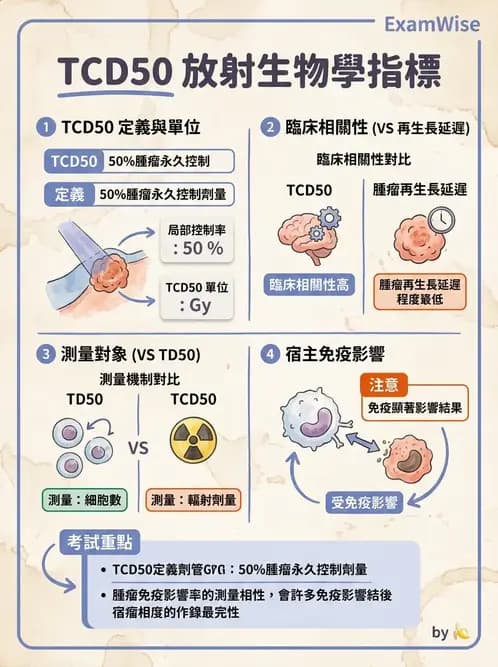 放射 - 腫瘤反應預測 - AI 圖文解析預覽