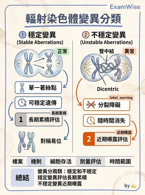 放射 - DNA傷害與修復 - AI 圖文解析預覽