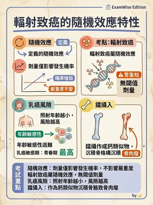 放射 - 輻射致癌與遺傳效應 - AI 圖文解析預覽