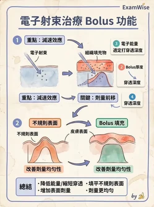 放射 - 電子射束臨床技術與應用 - AI 圖文解析預覽