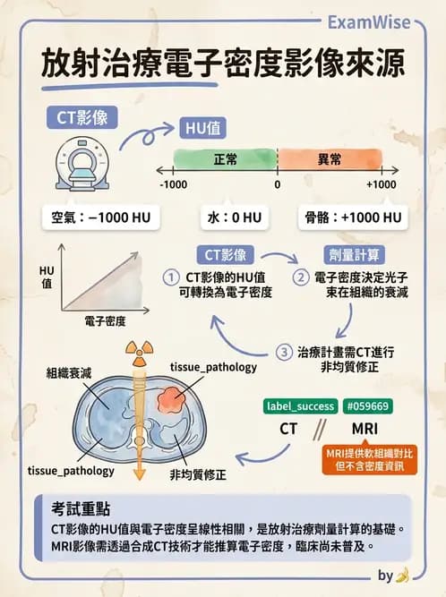 放射 - 放射治療技術與影像計畫 - AI 圖文解析預覽
