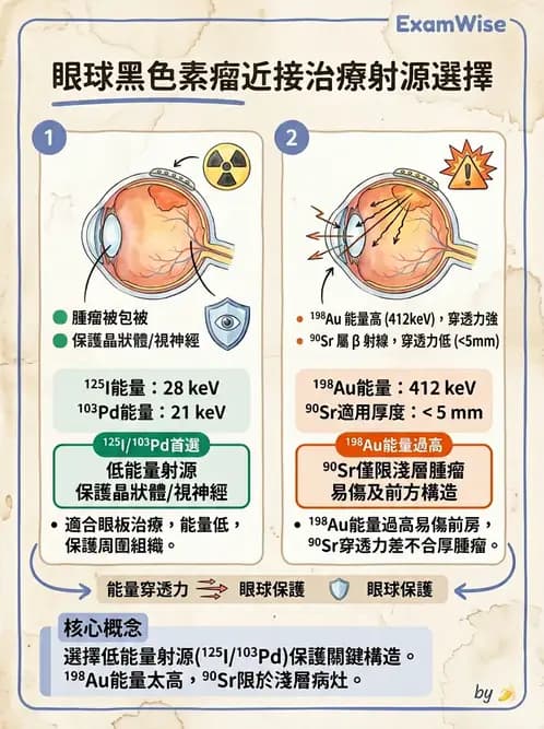 放射 - 插種近接治療 - AI 圖文解析預覽