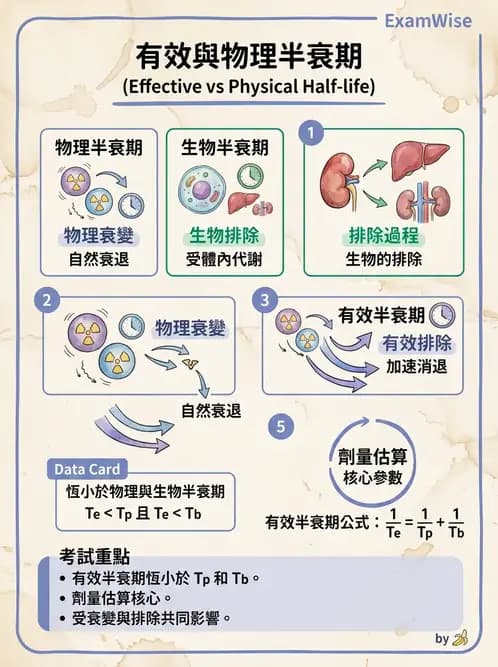 放射 - 近接治療射源物理與劑量計算 - AI 圖文解析預覽