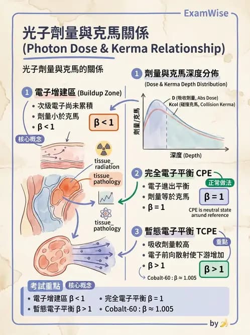 放射 - 劑量計算參數概念與轉換 - AI 圖文解析預覽