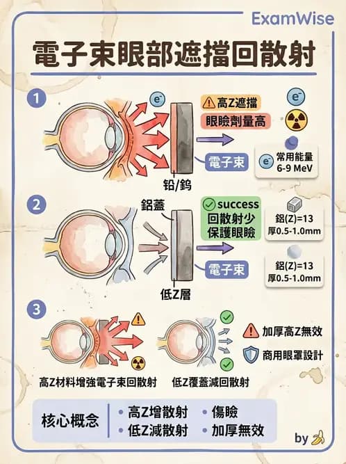 放射 - 電子射束臨床技術與應用 - AI 圖文解析預覽