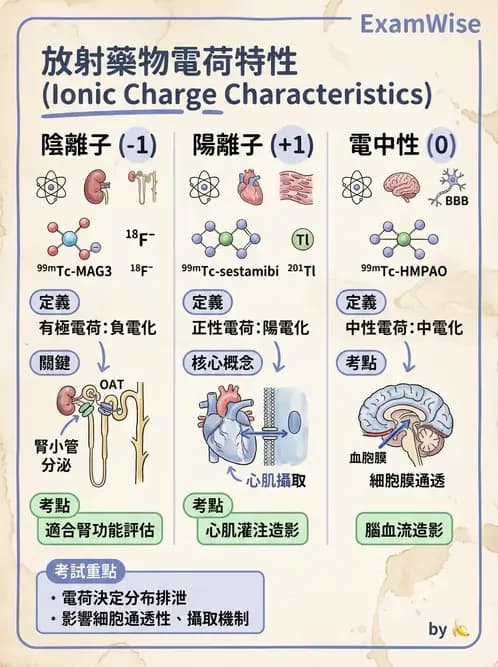放射 - 肺肝膽與製劑通則 - AI 圖文解析預覽