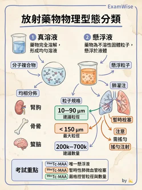 放射 - 肺肝膽與製劑通則 - AI 圖文解析預覽