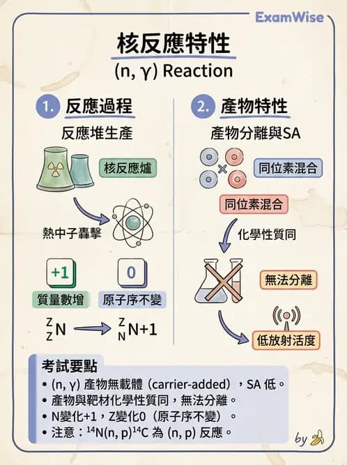 放射 - 核種生產與孳生器 - AI 圖文解析預覽