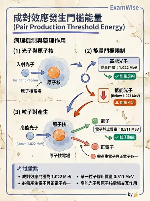 放射 - 蛻變類型與計算 - AI 圖文解析預覽