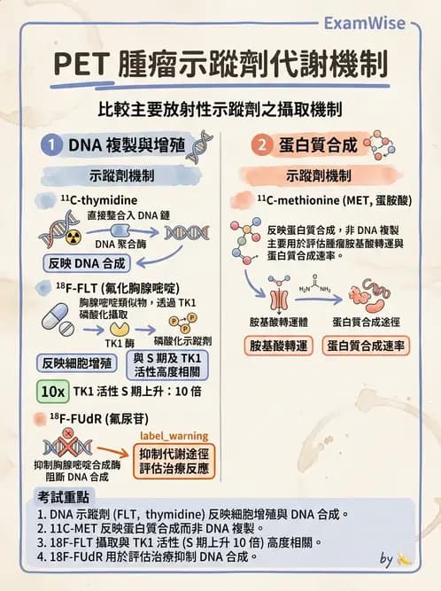 放射 - 腫瘤PET藥物 - AI 圖文解析預覽