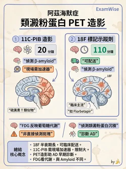 放射 - 腦神經PET藥物 - AI 圖文解析預覽