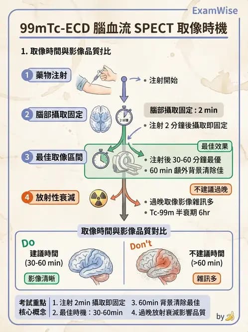 放射 - 腦部造影 - AI 圖文解析預覽