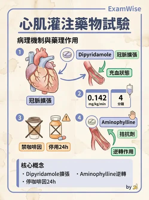 放射 - 心臟灌注造影 - AI 圖文解析預覽