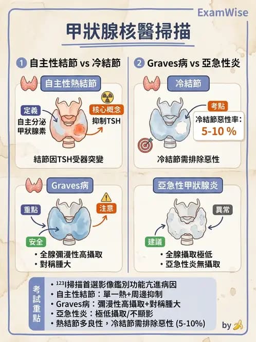 放射 - 甲狀腺造影 - AI 圖文解析預覽