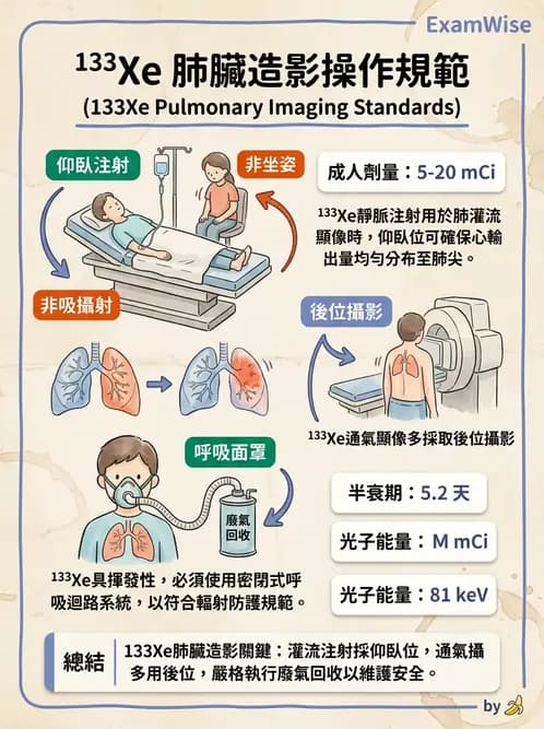 放射 - 肺部與感染造影 - AI 圖文解析預覽