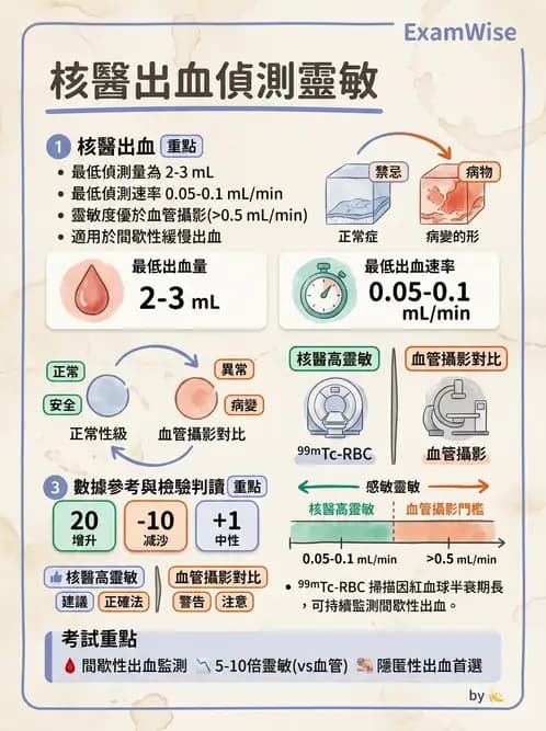放射 - 消化道造影 - AI 圖文解析預覽