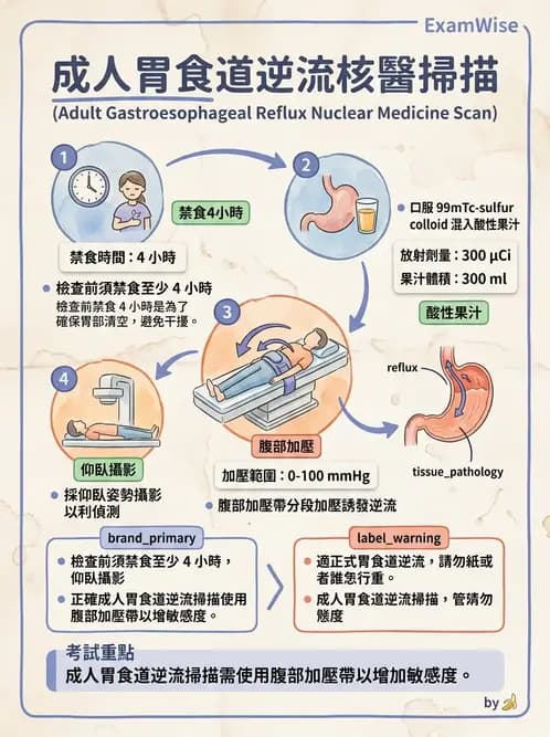 放射 - 消化道造影 - AI 圖文解析預覽