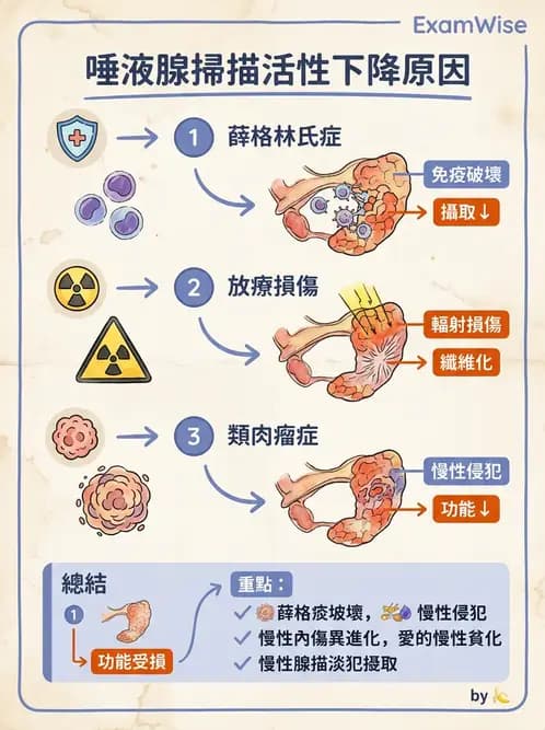放射 - 消化道造影 - AI 圖文解析預覽