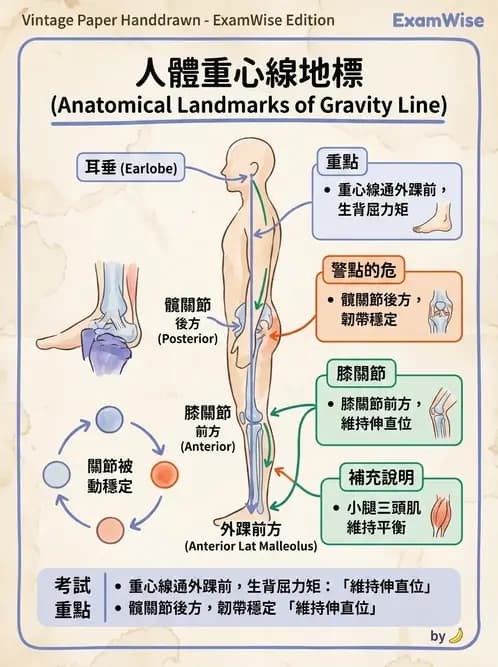 物治 - 異常步態與姿勢分析 - AI 圖文解析預覽