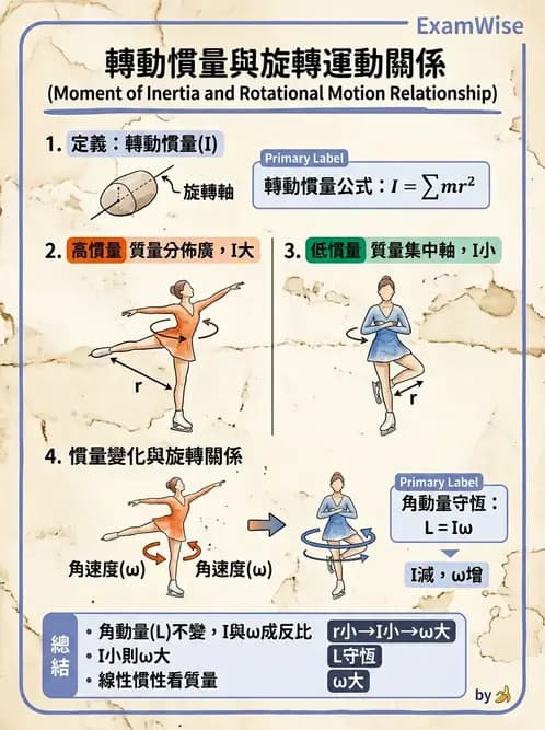 物治 - 關節運動學與生物力學計算 - AI 圖文解析預覽