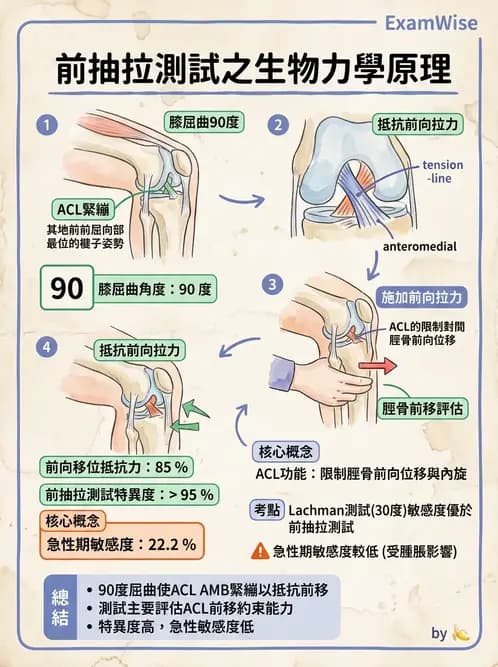 物治 - 膝關節肌動學與生物力學 - AI 圖文解析預覽