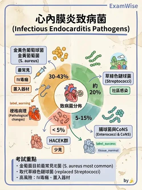 物治 - 內科疾病概論 - AI 圖文解析預覽