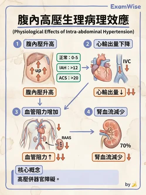 物治 - 骨科與外科疾病 - AI 圖文解析預覽