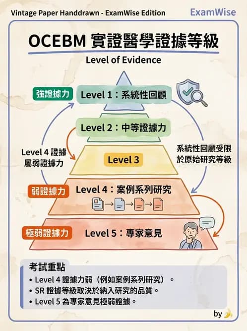 物治 - 文獻評析 - AI 圖文解析預覽