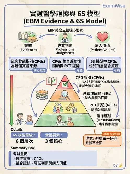 物治 - 實證臨床應用流程 - AI 圖文解析預覽